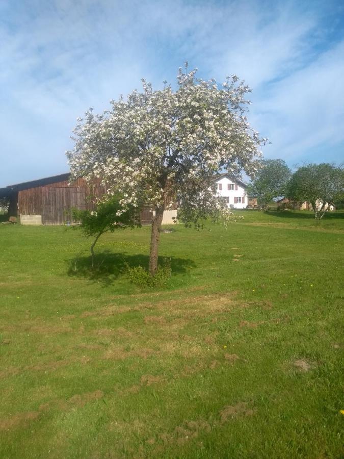 La Maison De Pescate Souprosse Exterior photo